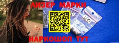 сатива Новодвинск