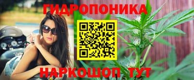 сатива Новодвинск