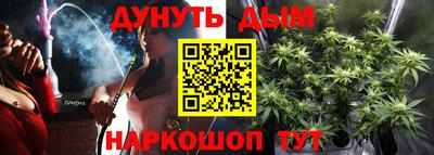 сатива Новодвинск