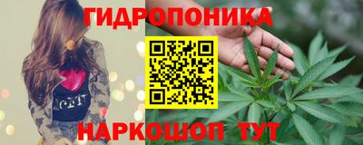 сатива Новодвинск