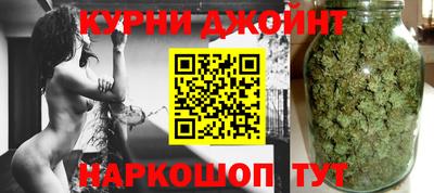 сатива Новодвинск