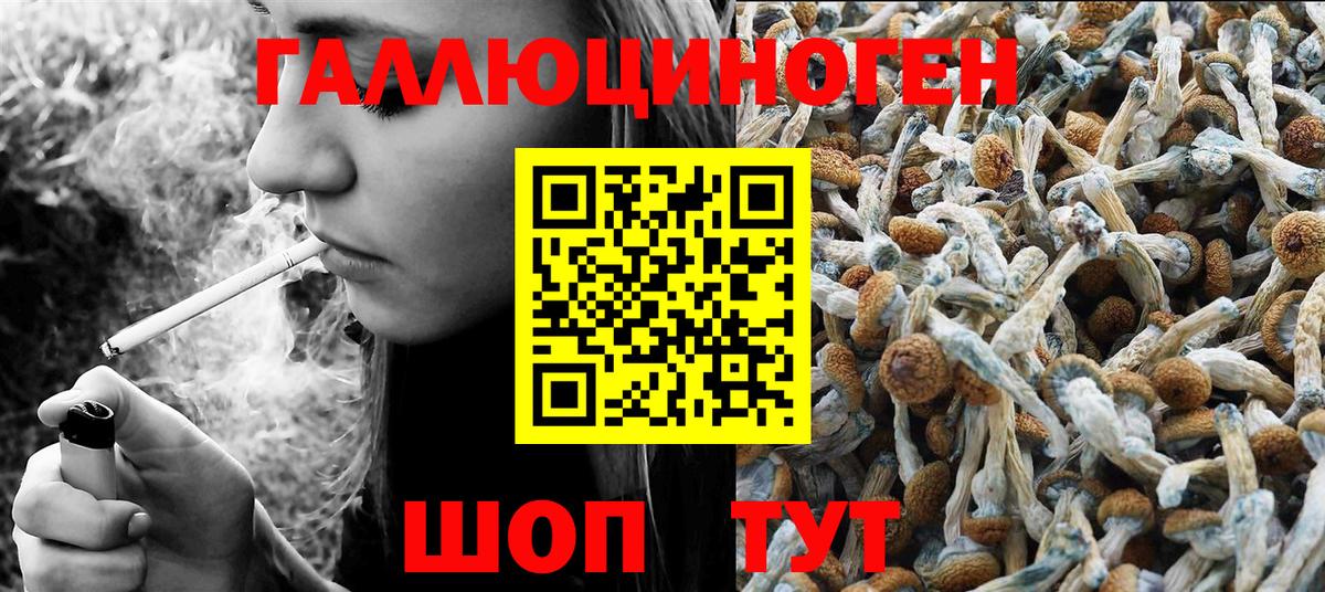 Псилоцибиновые грибы прущие грибы  Псилоцибиновые грибы прущие грибы  Вход с VPN  Щёлково 